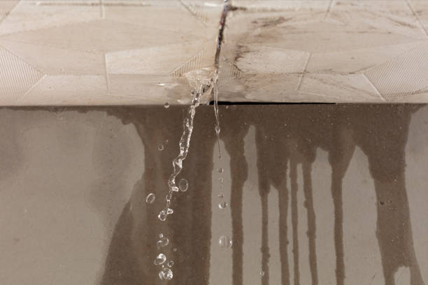 Professional Water Damage Repair technician working in Desdemona, TX